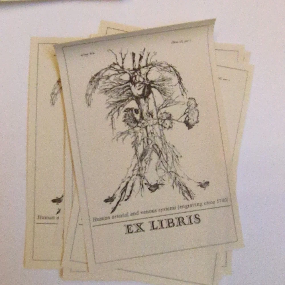 Vintage Antioch Bookplate Company Gum‎ Nameplates Birds Historial Medical Doctor